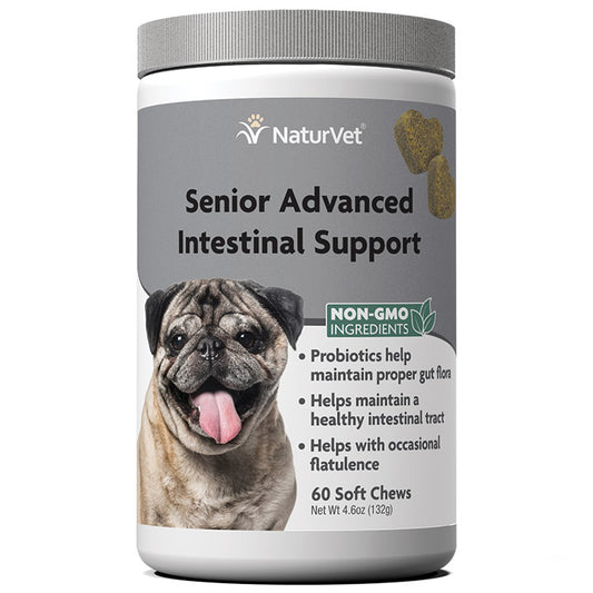 Senior Intestinal Support