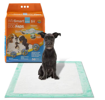Pee Pads