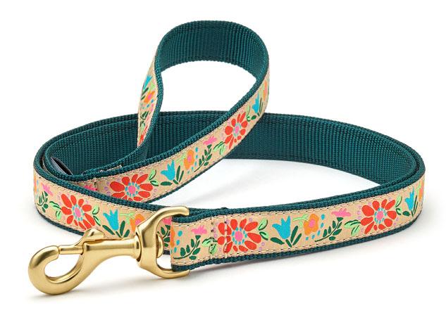UC Leashes