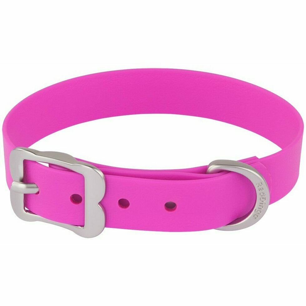 Vivid Waterproof Collar - Lake Dog and their people