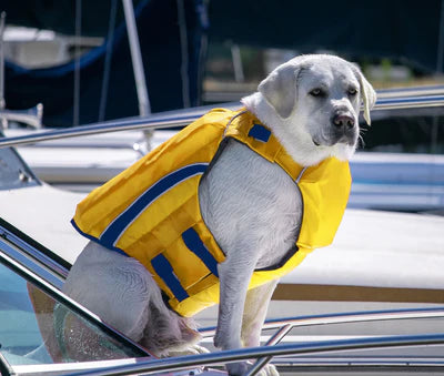 Life Jackets Bay Offshore