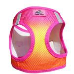Choke Free Harness Ombre Designs - Lake Dog and their people