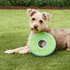 Zip Flight Dog Frisbee