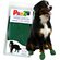 Pawz Waterproof dog boots - Lake Dog and their people