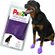 Pawz Waterproof dog boots - Lake Dog and their people