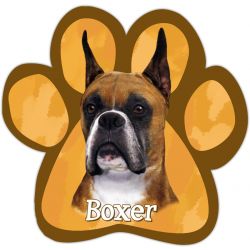 Paw Car Magnets