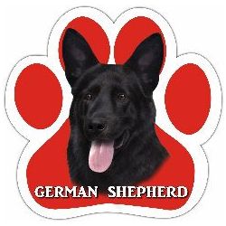 Paw Car Magnets