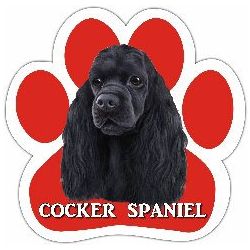 Paw Car Magnets