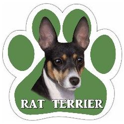 Paw Car Magnets