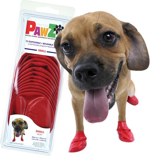Pawz Waterproof dog boots - Lake Dog and their people