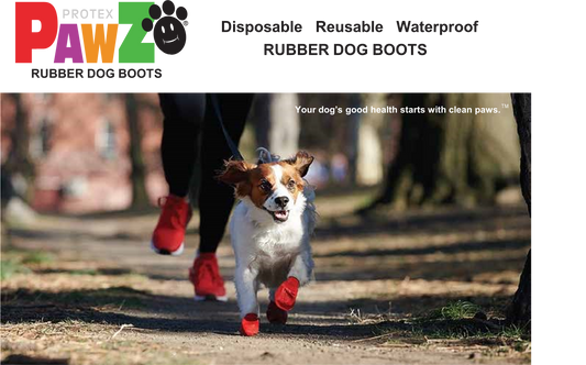 Pawz Waterproof dog boots - Lake Dog and their people