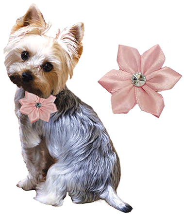 Collar Flower