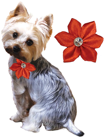 Collar Flower