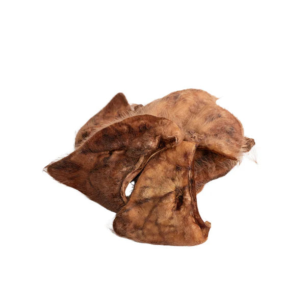 Momentum Pig Ears