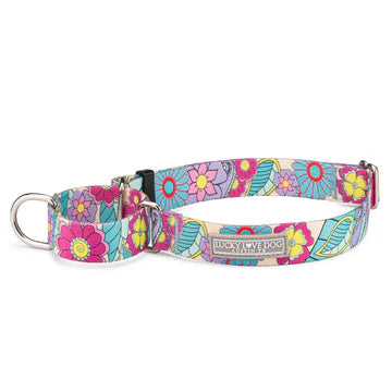 Lucky Love Martingale Collars