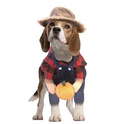 Dog Costumes