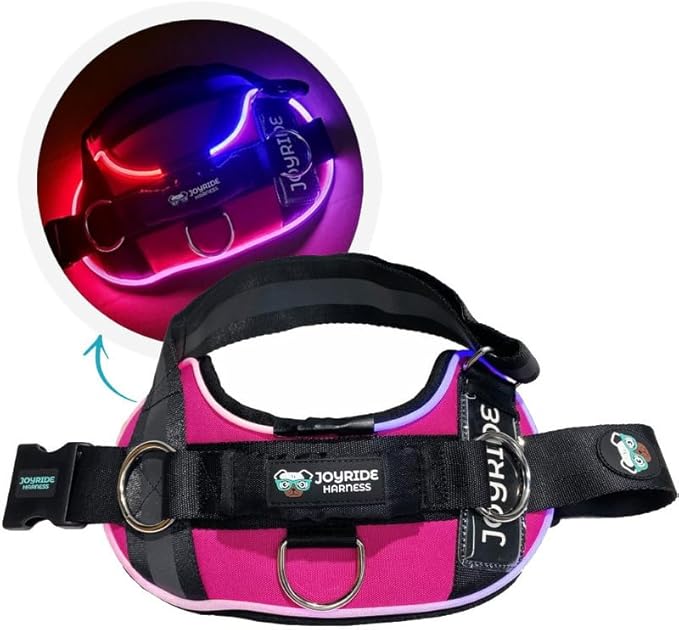 Joyride LED Harness