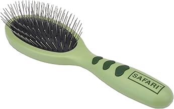 Wire Pin Brush