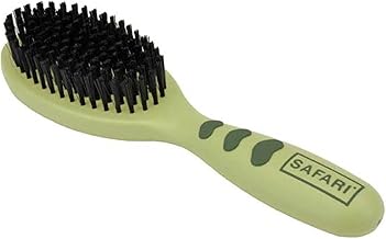 Bristle Brush Cat