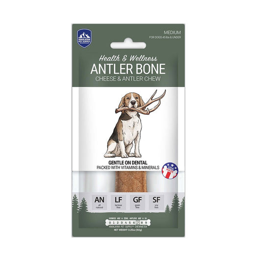 Antler Bone