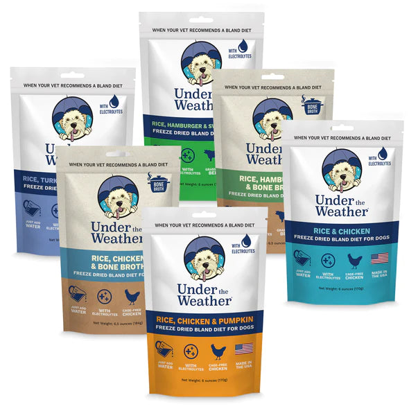 Under The Weather bland diet food dogs