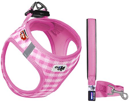 Puppy Harness and Leash set