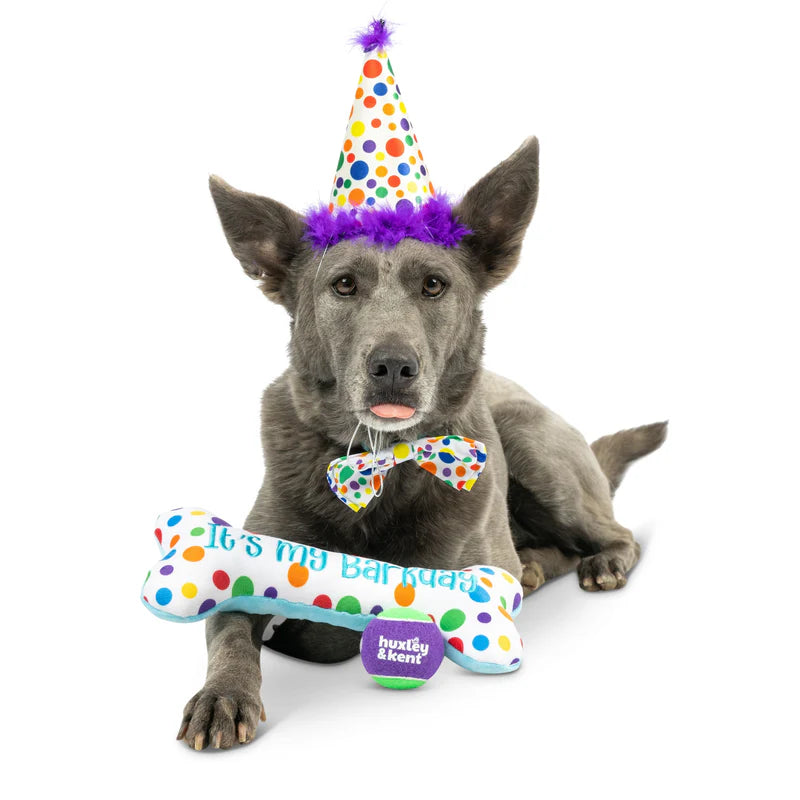 Happy Barkday Box