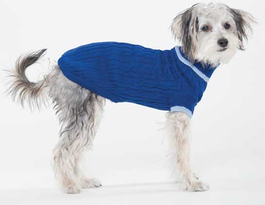Blue Turtleneck Dog Sweater
