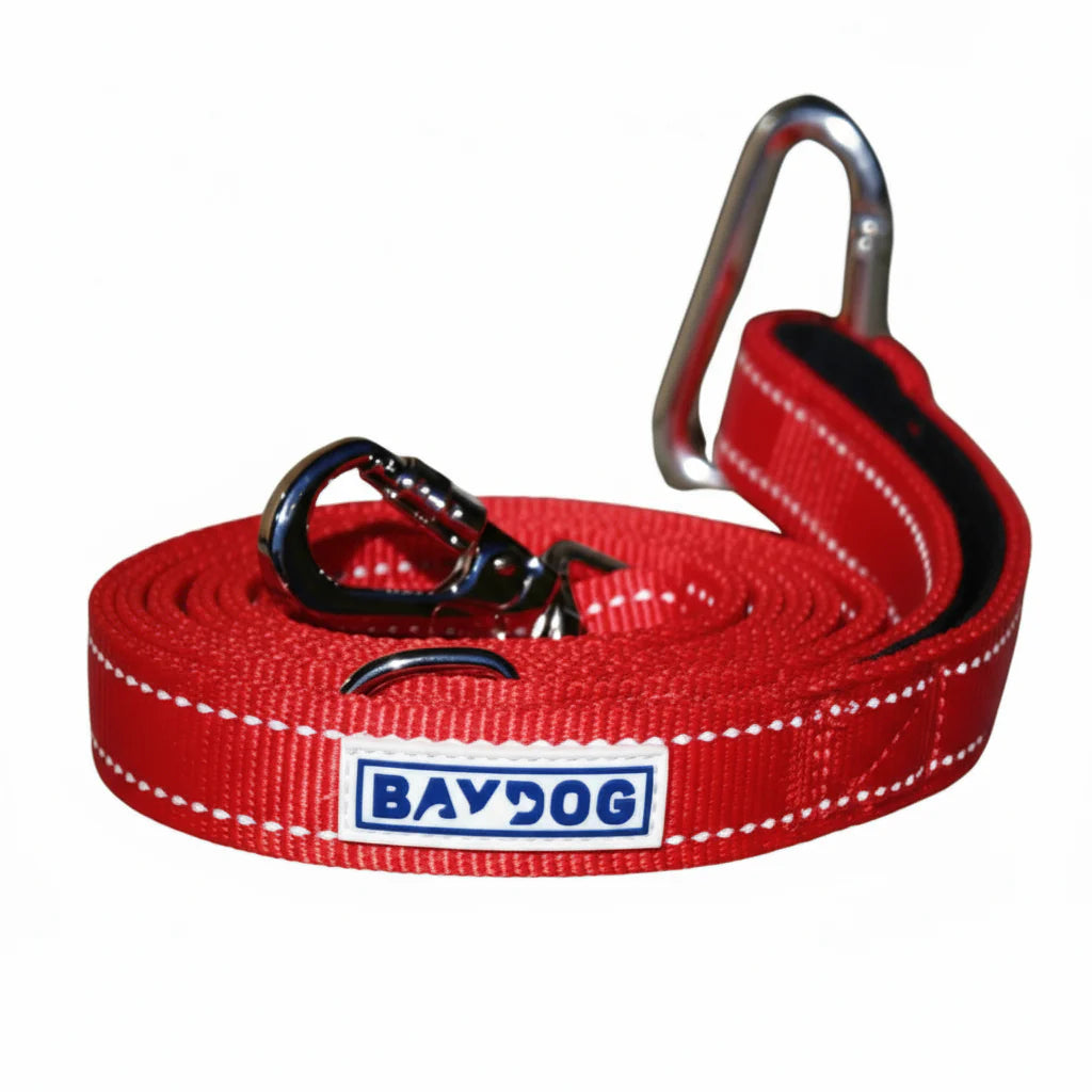 Hudson Leash