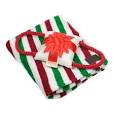 Holiday blanket gift set 3 to choose from