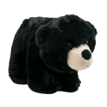 Black Bear