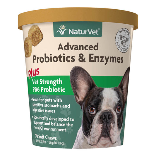 Advanced Probiotics & Enzymes Plus Vet Strength PB6 Probiotic - Lake Dog and their people