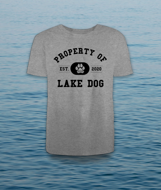 Property of Lake Dog
