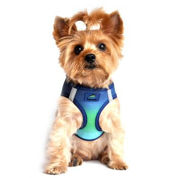 Choke Free Harness Ombre Designs - Lake Dog and their people