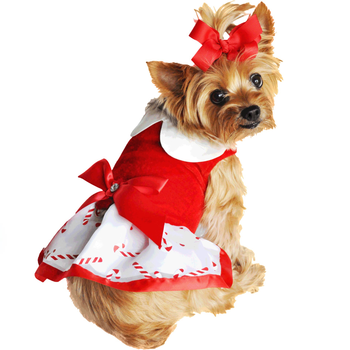 Holiday Harness Candy Cane dress