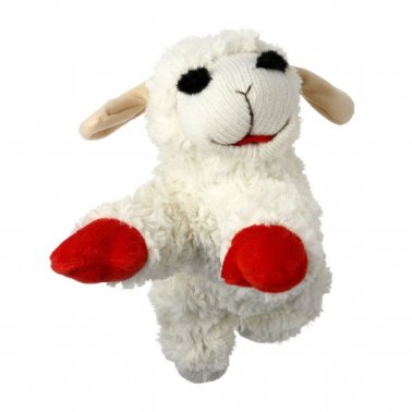 Lamb chop