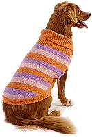fashion pet sweater stripe