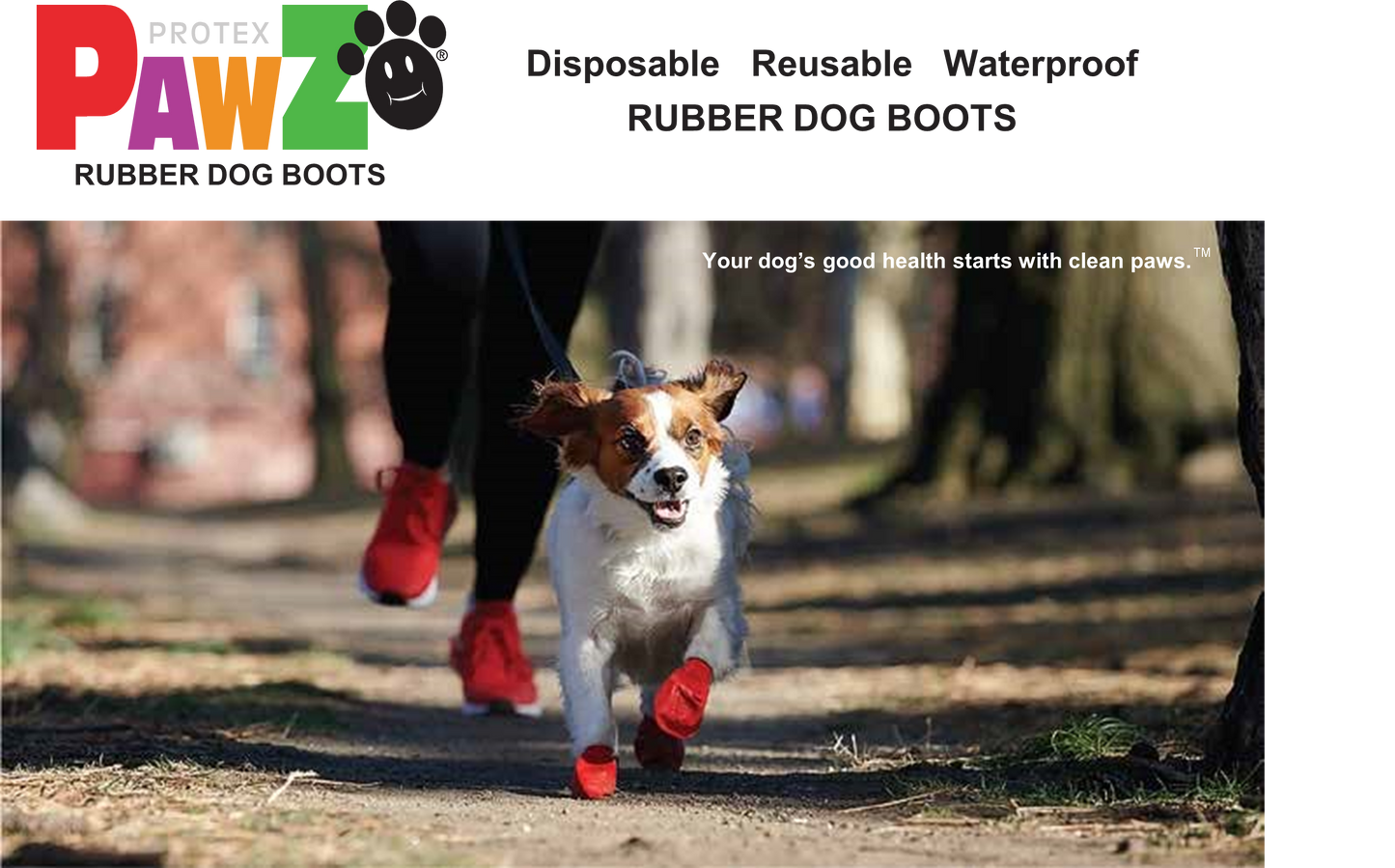 Pawz Waterproof dog boots - Lake Dog and their people