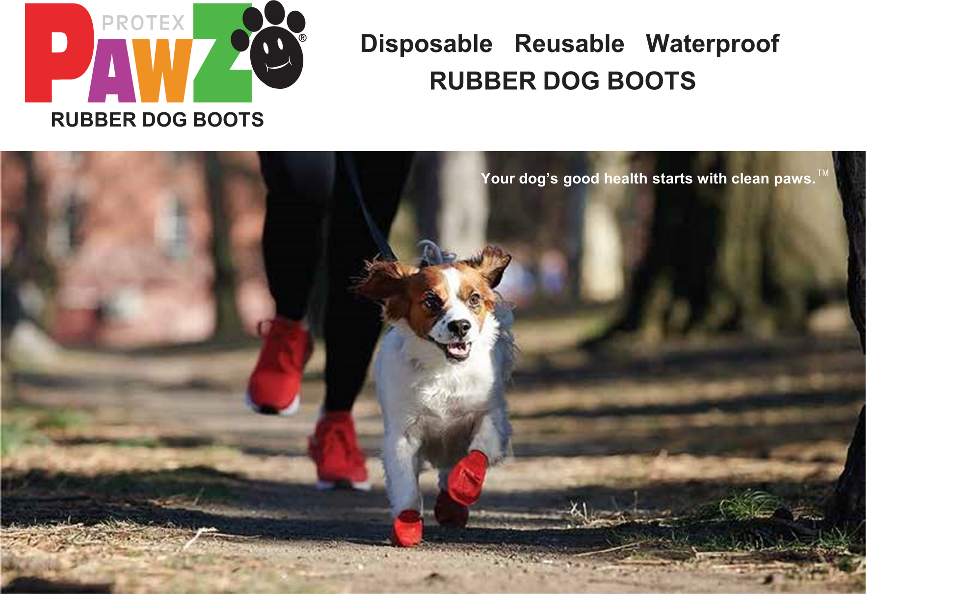 Pawz Waterproof dog boots - Lake Dog and their people