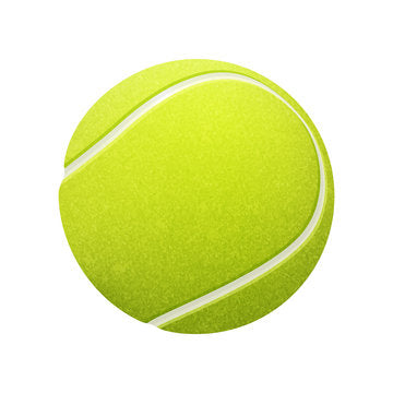 Petcrest Dog Tennis ball 2.5" - Lake Dog and their people